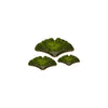 error-product-image