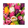 error-product-image